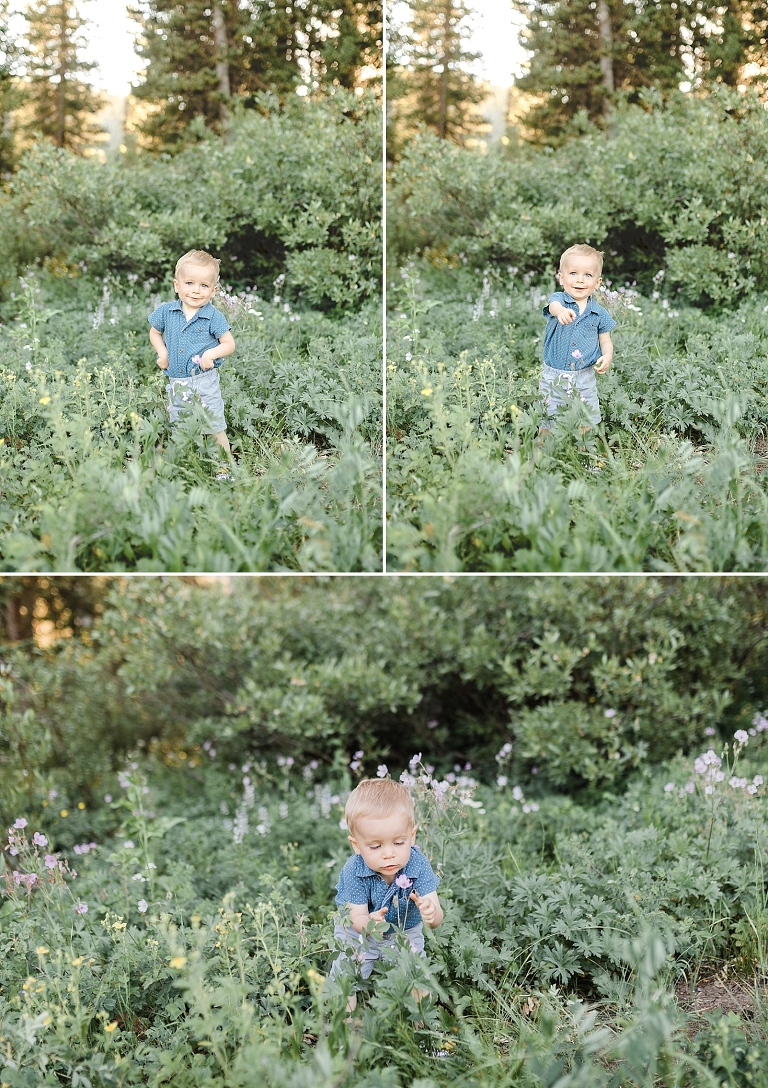 Cute little boy in flower field